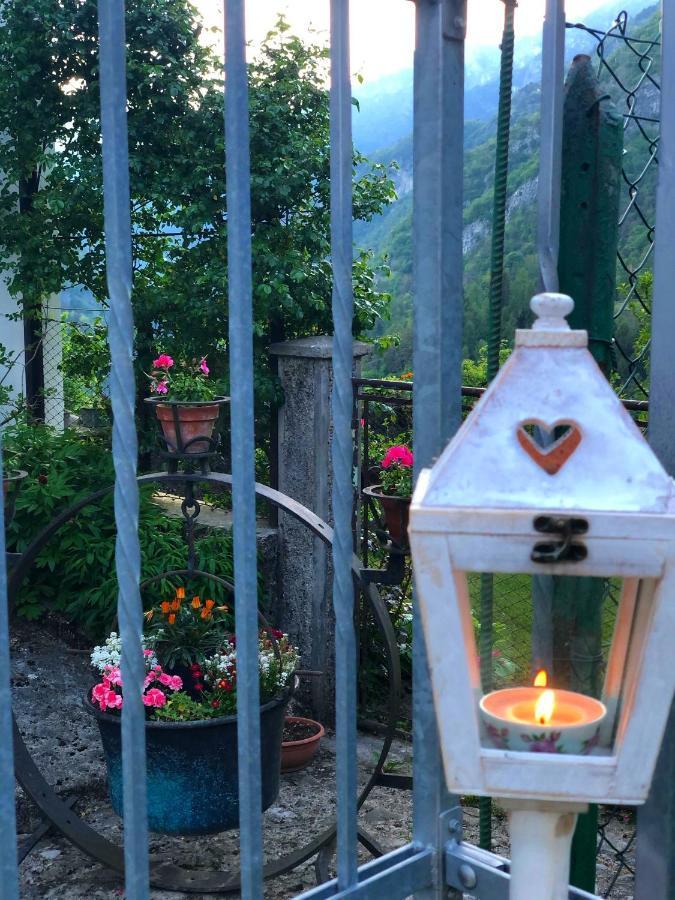Le Castagne Matte Bed & Breakfast Stenico Exterior photo